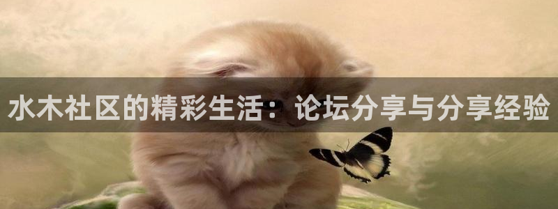 新宝5后：水木社区的精彩生活：论坛分享与分享经验