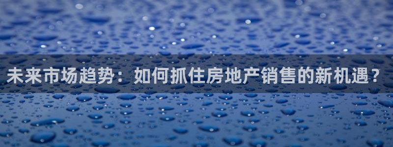 新宝5是谁的：未来市场趋势：如何抓住房地产销售的新机遇？