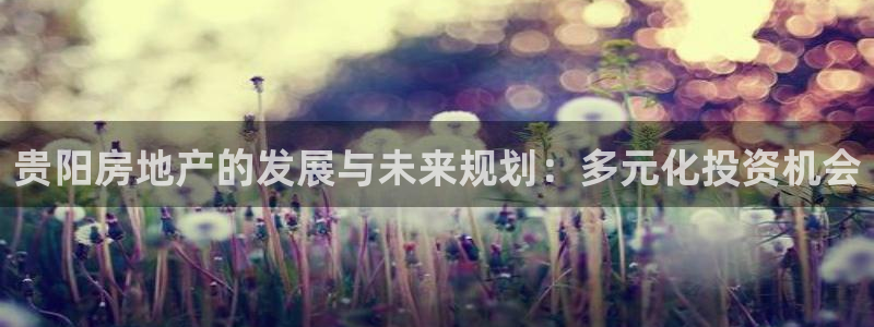 新宝股东瞧听2 5 5：贵阳房地产的发展与未来规划：多元化投