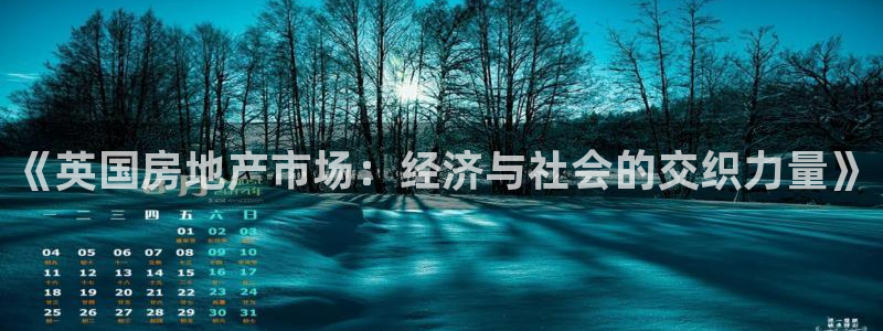 新宝5娱乐：《英国房地产市场：经济与社会的交织力量》