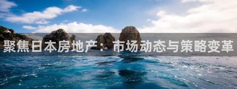 下载新宝5：聚焦日本房地产：市场动态与策略变革