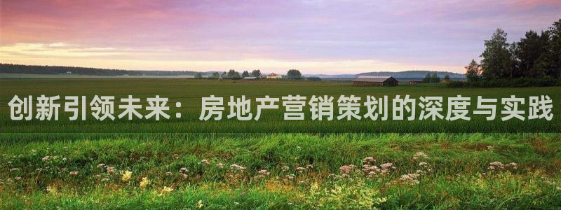 新宝5找找74OOO5：创新引领未来：房地产营销策划的深度与