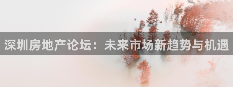 新宝5月：深圳房地产论坛：未来市场新趋势与机遇