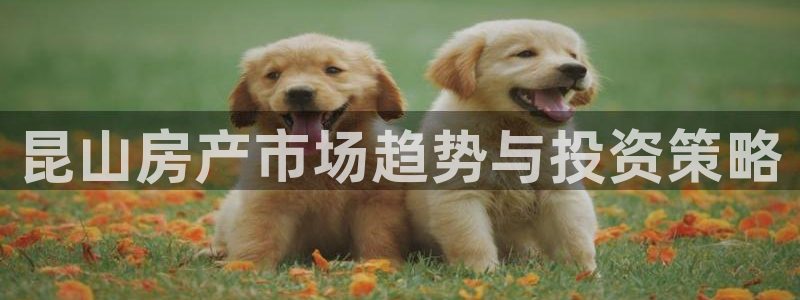 新宝5球维33 300：昆山房产市场趋势与投资策略