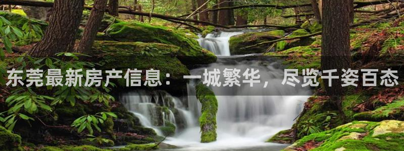 新宝5招商部：东莞最新房产信息：一城繁华，尽览千姿百态