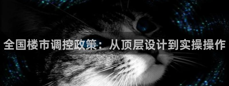 新宝5X：全国楼市调控政策：从顶层设计到实操操作
