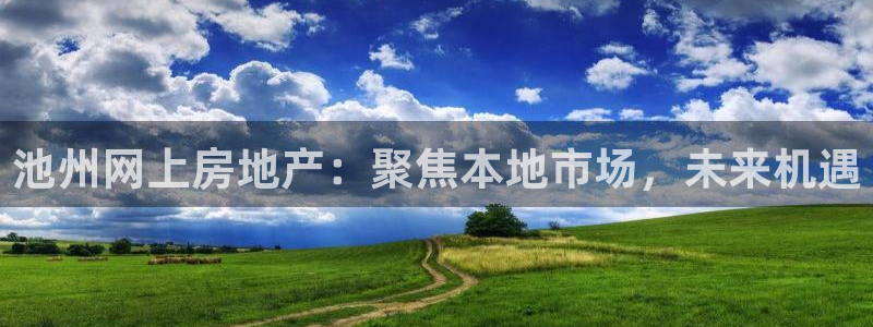 新宝5后：池州网上房地产：聚焦本地市场，未来机遇