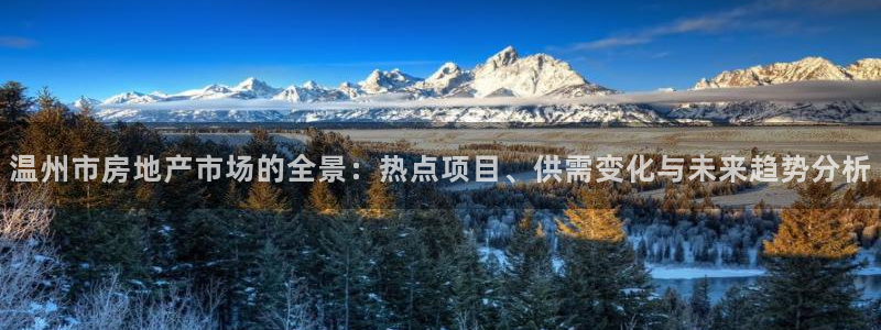 新宝G5：温州市房地产市场的全景：热点项目、供需变化与未来趋