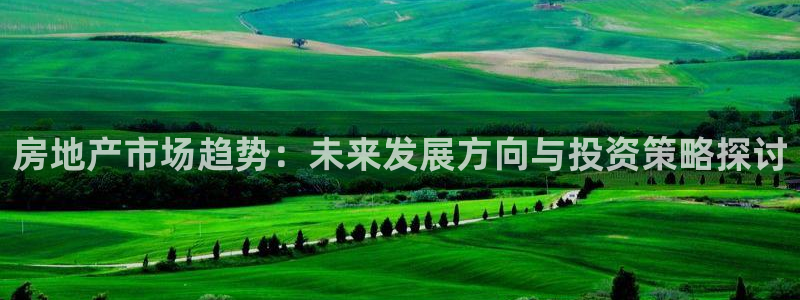 菲律宾新宝5老板