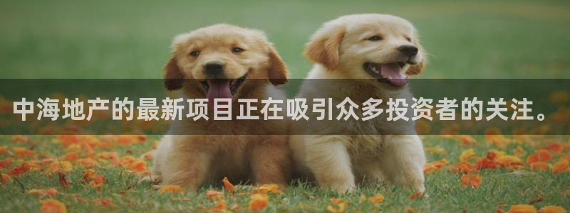 新宝5玩法：中海地产的最新项目正在吸引众多投资者的关注。