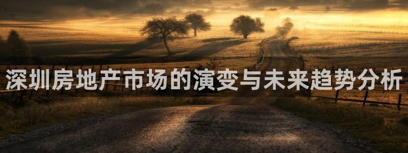 新宝G5：深圳房地产市场的演变与未来趋势分析