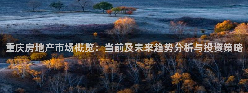 新宝5 测速：重庆房地产市场概览：当前及未来趋势分析与投资策