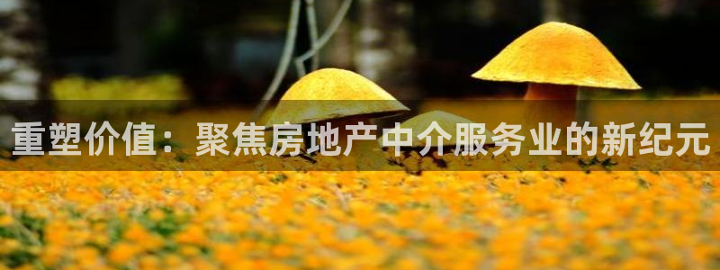 新宝5现在还能玩吗：重塑价值：聚焦房地产中介服务业的新纪元
