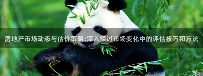 新宝5 888：房地产市场动态与估价策略:深入探讨市场变化中