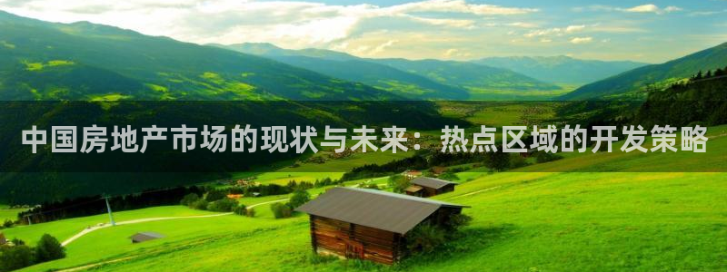 新宝5月：中国房地产市场的现状与未来：热点区域的开发策略
