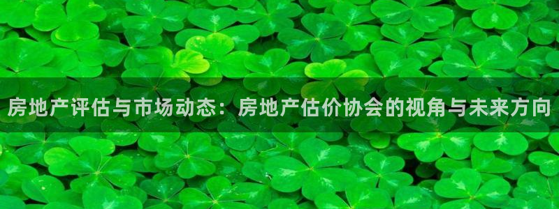 新宝5彩票娱乐平台：房地产评估与市场动态：房地产估价协会的视