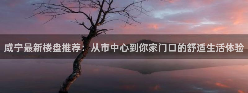 新宝5源码：咸宁最新楼盘推荐：从市中心到你家门口的舒适生活体
