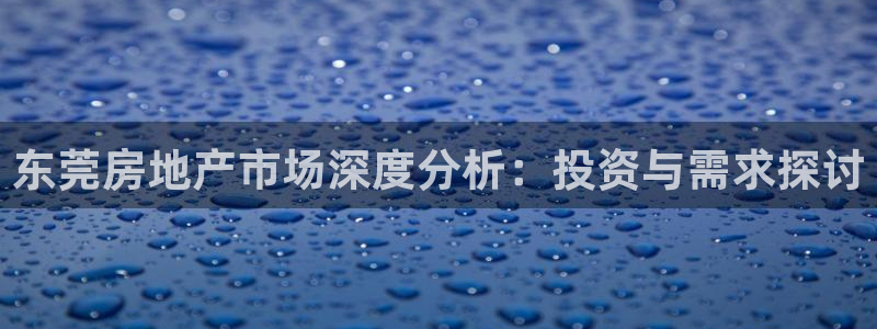新宝5入口：东莞房地产市场深度分析：投资与需求探讨