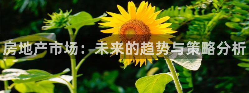新宝5注册首页：房地产市场：未来的趋势与策略分析