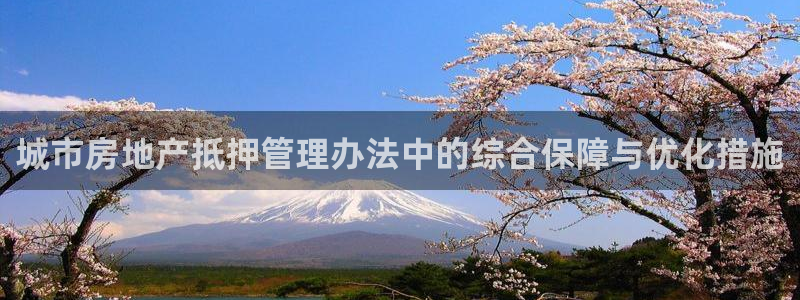 新宝5测登录：城市房地产抵押管理办法中的综合保障与优化措施