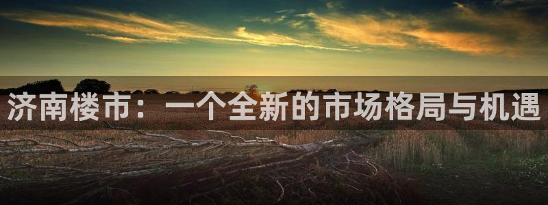 新宝娱乐5：济南楼市：一个全新的市场格局与机遇