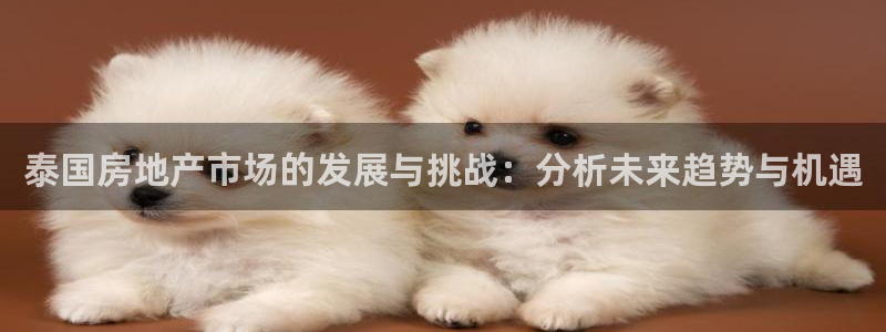 新宝5得74OOO5：泰国房地产市场的发展与挑战：分析未来趋