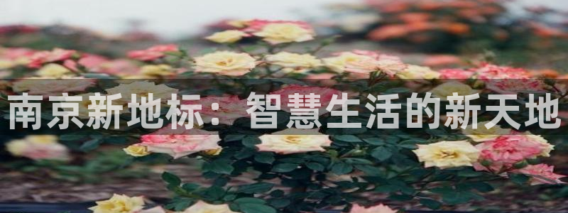 新宝5周74OOO5：南京新地标：智慧生活的新天地