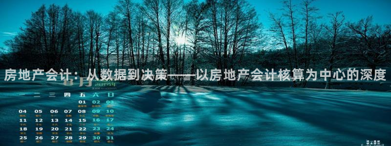 新宝5登陆地址：房地产会计：从数据到决策——以房地产会计核算