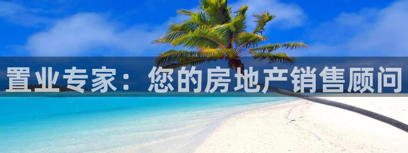 新宝5官网平台：置业专家：您的房地产销售顾问