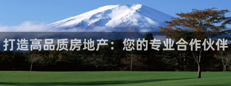 新宝5台卡：打造高品质房地产：您的专业合作伙伴