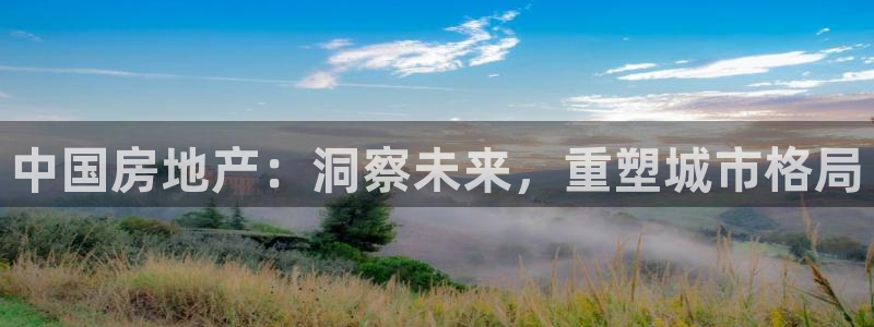 新宝5总代：中国房地产：洞察未来，重塑城市格局