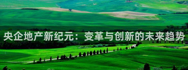 新宝5测速：央企地产新纪元：变革与创新的未来趋势