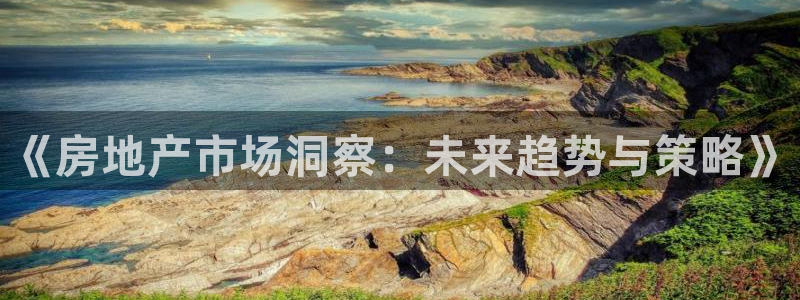 新宝5侹刔：《房地产市场洞察：未来趋势与策略》